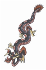 Tinsley Transfers Dragon 1930 Vintage Temporary Tattoo