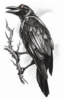 The Raven Goth Temporary Tattoo